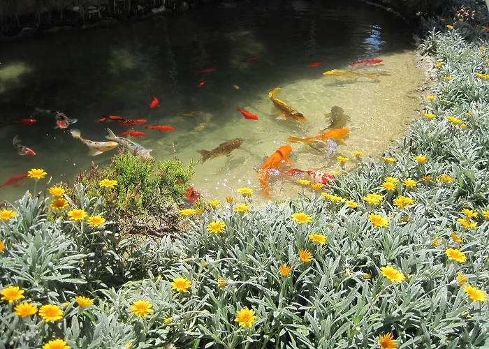 别墅 Polyxenia Isaak Heaven Pernera 普罗塔拉斯