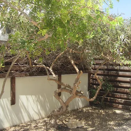 Polyxenia Isaak Heaven Pernera Protaras