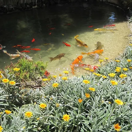 Villa Polyxenia Isaak Heaven Pernera Protaras